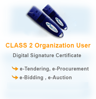 Class 2 Organization User