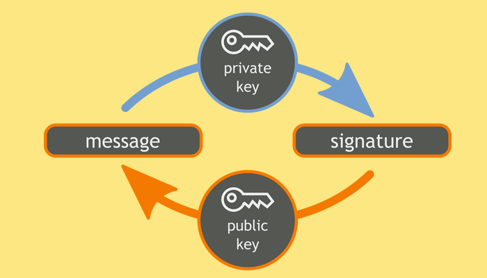 Digital Signature in Hindi